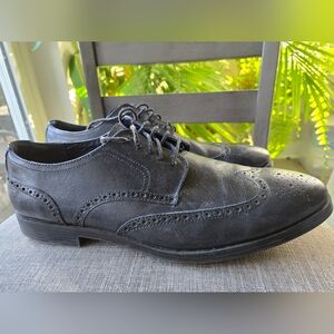 Cole Haan - Wing Tip Dress Shoes - Size 13 Black/Navy